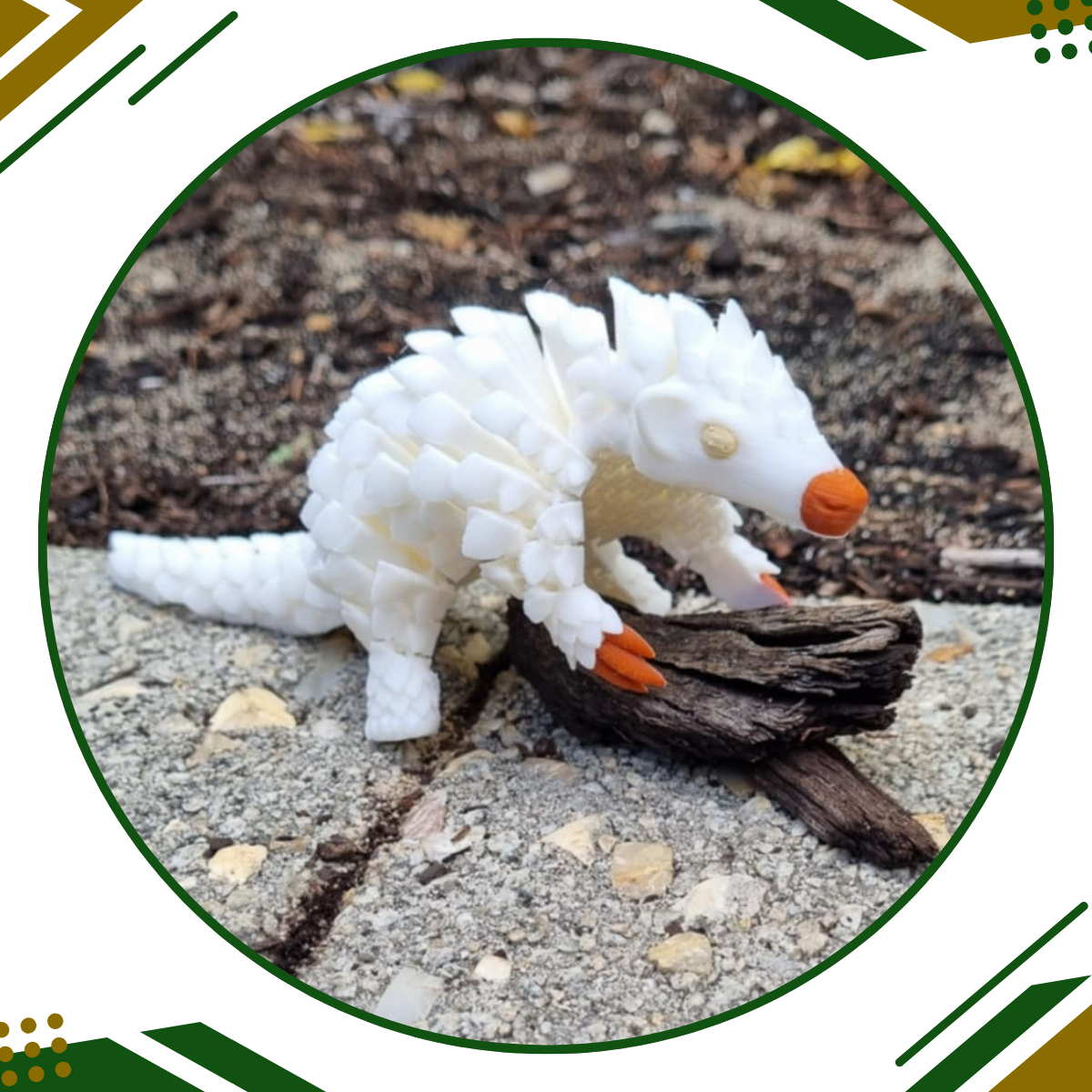 Pangolin