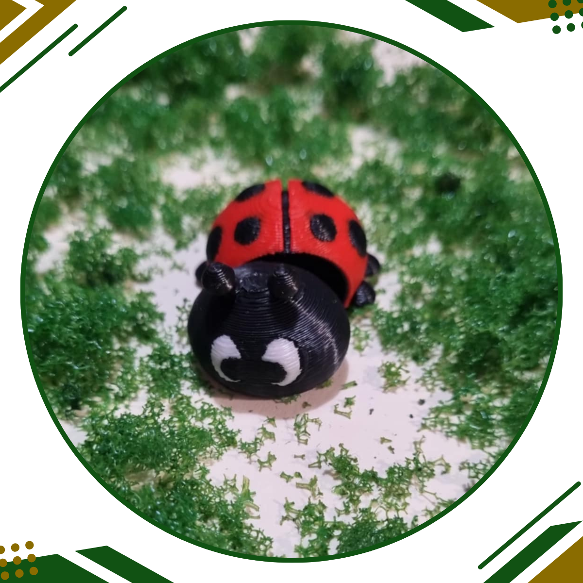 Lucky the Lady Beetle