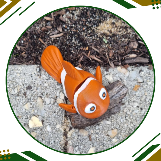 Clown Fish
