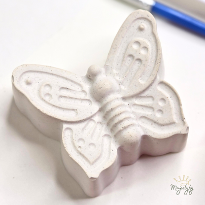 Bug Craft Kit for Kids | Paint Your Own Bug Keepsakes