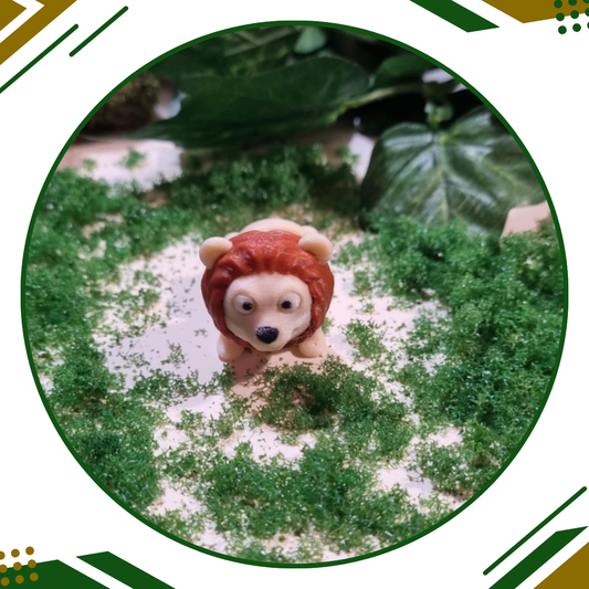 Leo the Lion