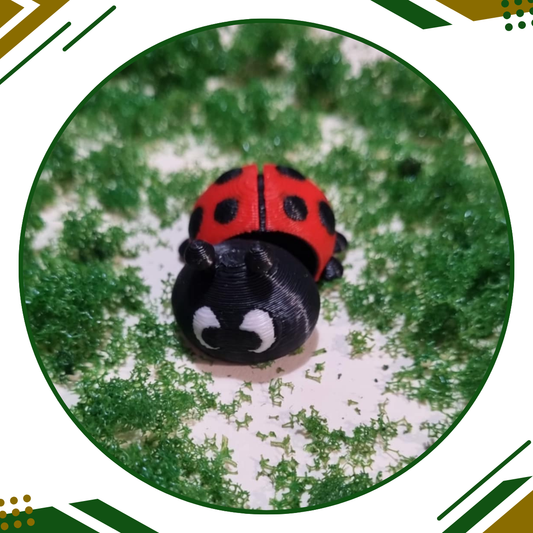 Lucky the Lady Beetle