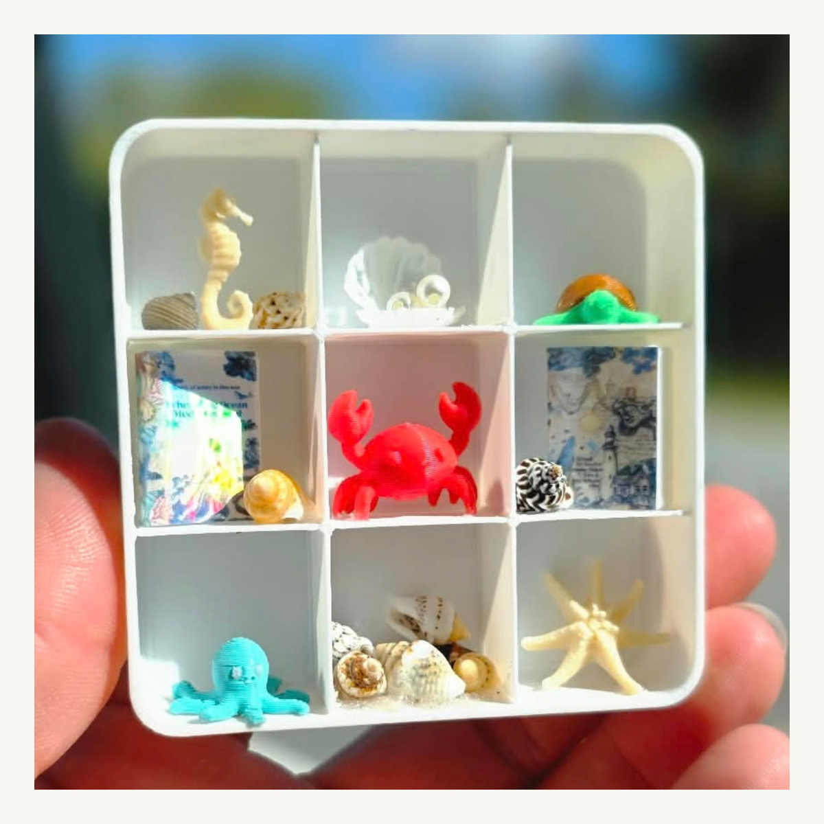 3D Printed Mini Magnetic Display Shelves